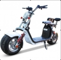 12 Inch Aluminum Alloy Citycoco Electric Scooter