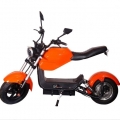 Best Off Road Electric Motorcycle Citycoco Electric Scooter