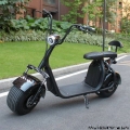 Double Removable Battery Citycoco Scooter