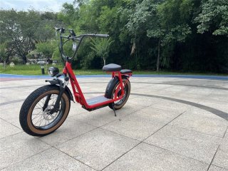 1000W Red Electric Motorcycle Scooter