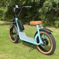 20inch Off Road Electric Scooter With Removable Battery