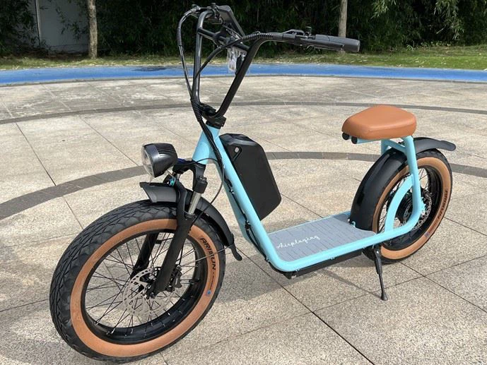 Double Battery Electric Scooter