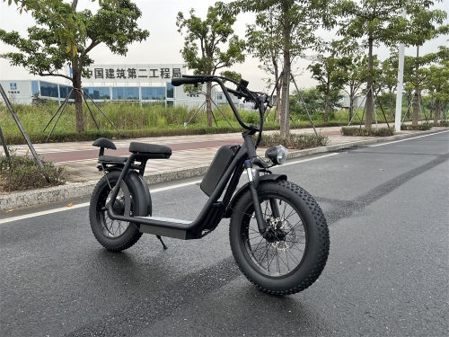 Bluetooth Two battery electric scooter