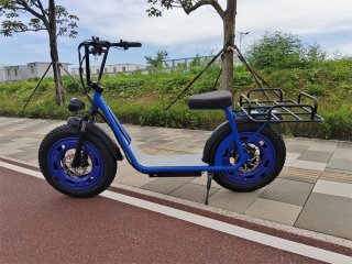 20 inch Electric Bicycle scooter with hub cover