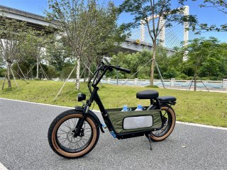 Pet Motorcycle with the big dog carrier and bluetooth speaker